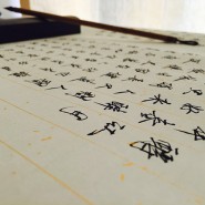 没有人该惯着你 没有人该惯着你