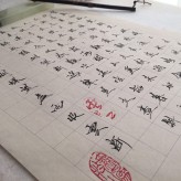 明天开始 明天开始