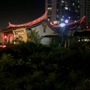 钢筋水泥里的隐者 钢筋水泥里的隐者