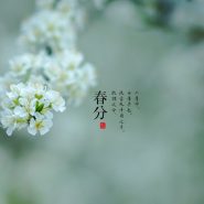 从秋分走到春分 从秋分走到春分